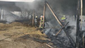 Un saivan de oi s-a făcut scrum din cauza artificiilor pentru Revelion. 30 de animale au ars de vii și peste 10 tone de furaje s-au făcut cenușă