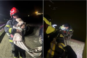 Constanța: Operațiune contracronometru pentru salvarea unui cățel prins într-o țeavă de scurgere. Peripeția i-a adus patrupedului și o familie