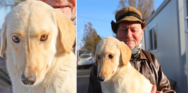 Ea este Corsa și, de astăzi, are o casuță a ei: Este prima cățelușă adoptată anul acesta de la adăpostul din Constanța