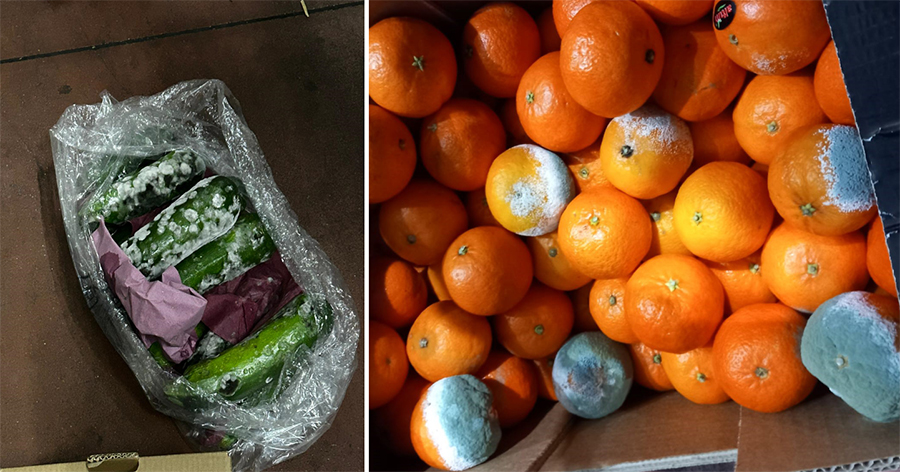 (FOTO) Legume și fructe mucegăite și spații de depozitare pline de mizerie: ANPC a "călcat" furnizorii marilor lanțuri de magazine