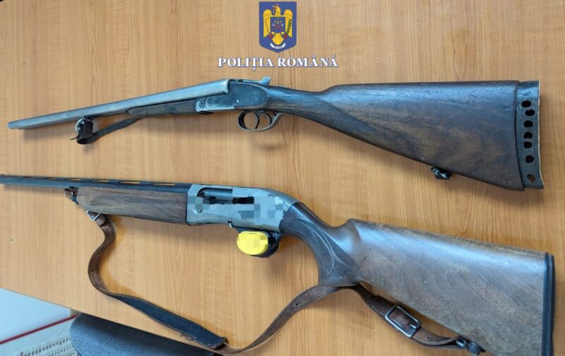 Grădina: Doi vânători s-au ales cu dosare penale după ce au ÎMPUȘCAT doi câini și au rănit alți doi