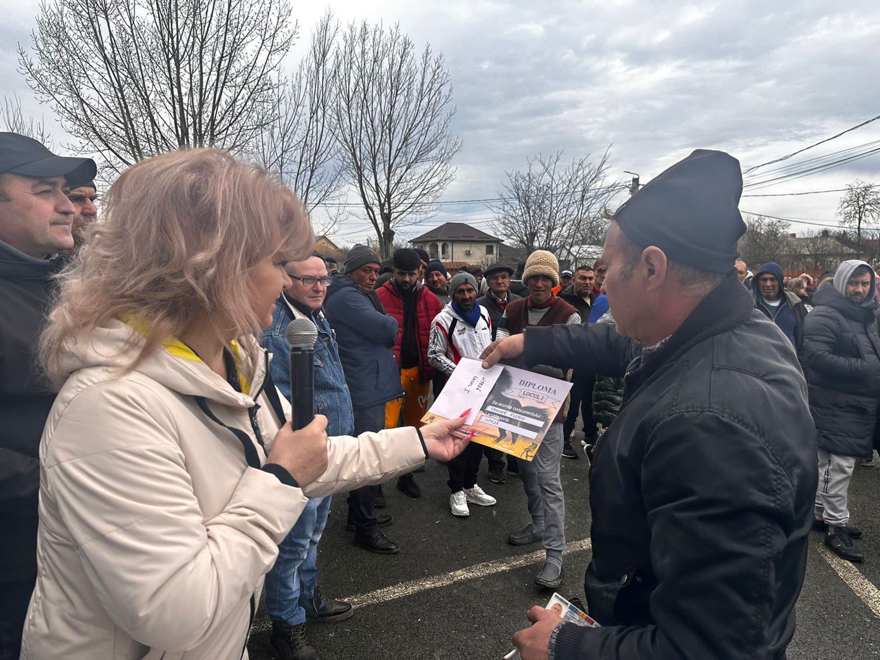 decernarea premiilor