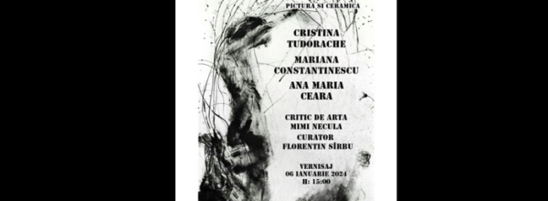 Afiș expoziția Insomnia