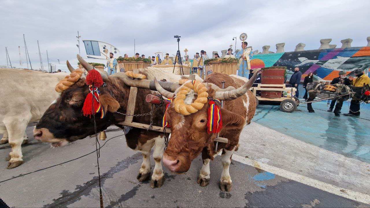 Boii de la Bobotează