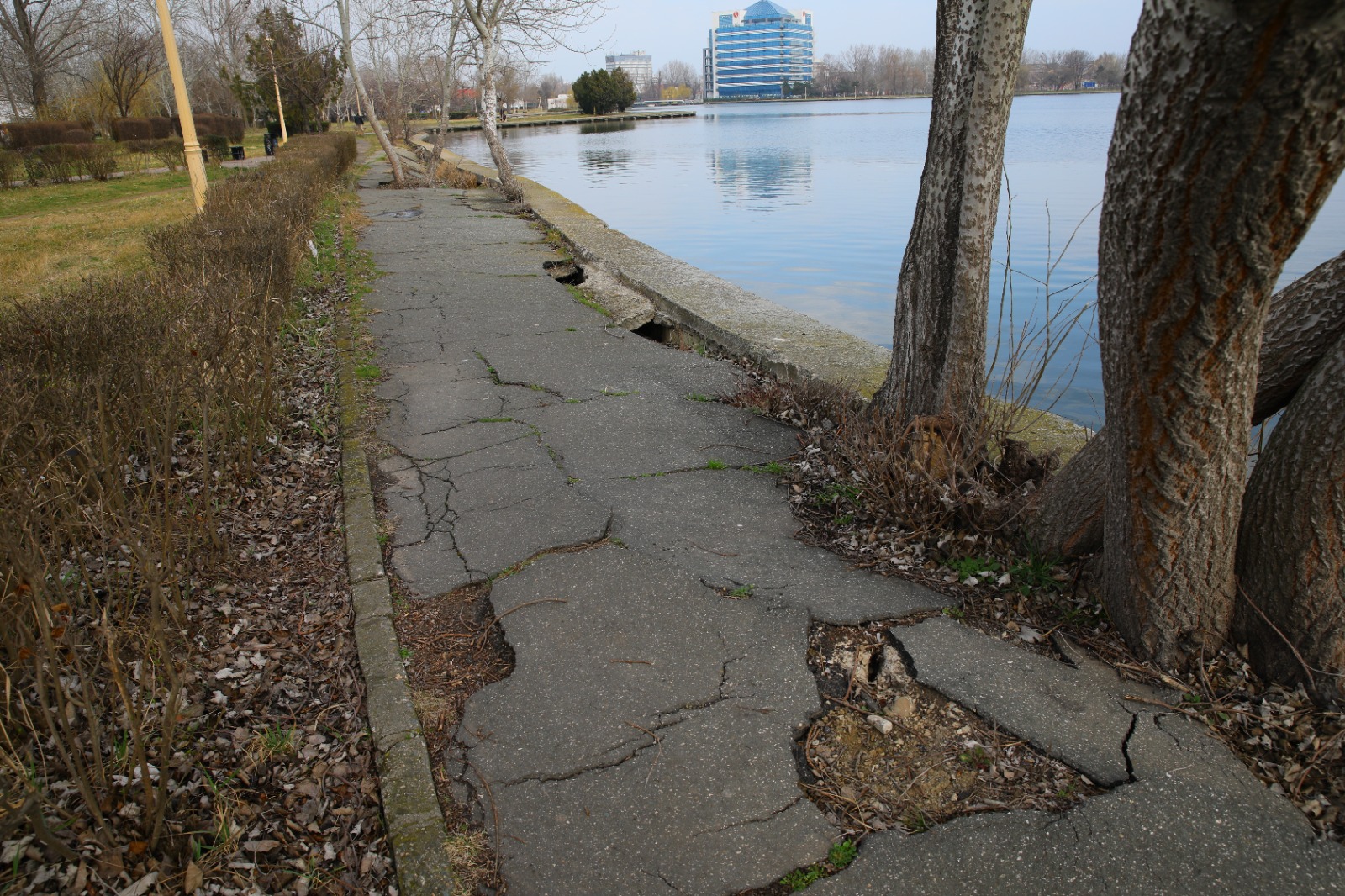 Mal Lac Tăbăcărie