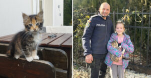 Polițiștii din Eforie au înapoiat-o pe Prințesa micuței sale stăpâne: Pisicuța se rătăcise, iar copila nu se oprea din plâns