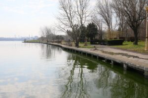 Vești bune pentru constănțeni! Primăria Constanța va reabilita malul Lacului Tăbăcărie